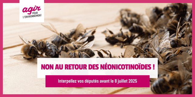 Non au retour des néonicotinoïdes