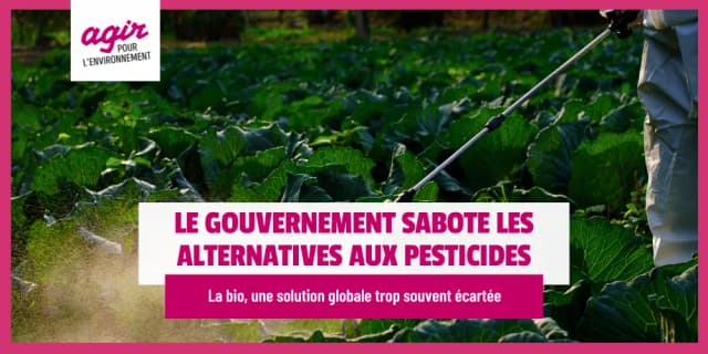 Le gouvernement sabote sciemment les alternatives aux pesticides