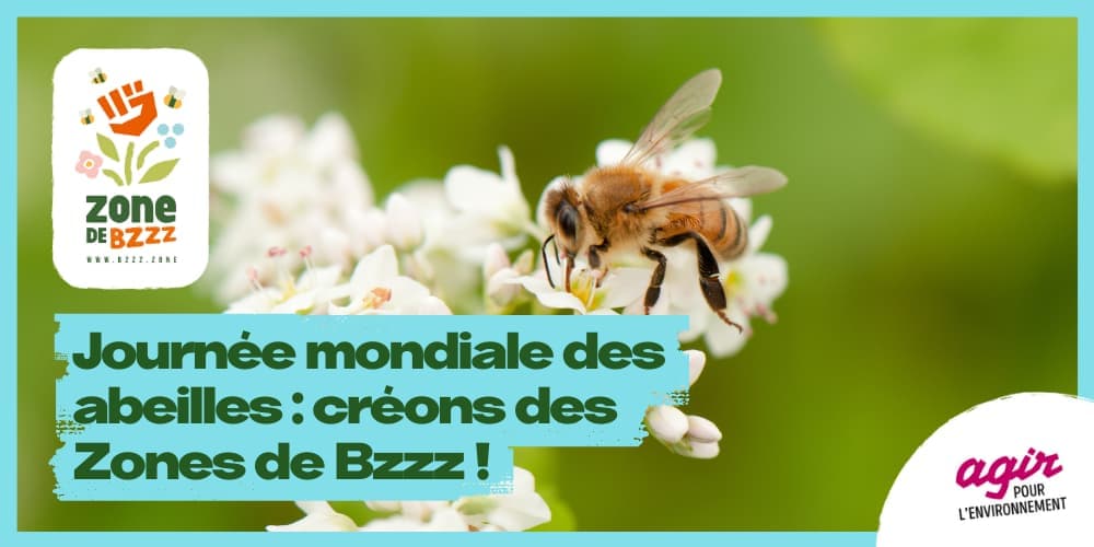 Une abeille butine une fleur