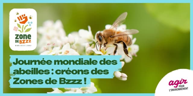 Une abeille butine une fleur