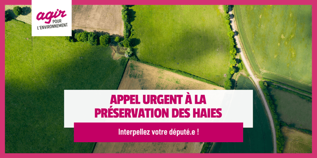 preservation des haies