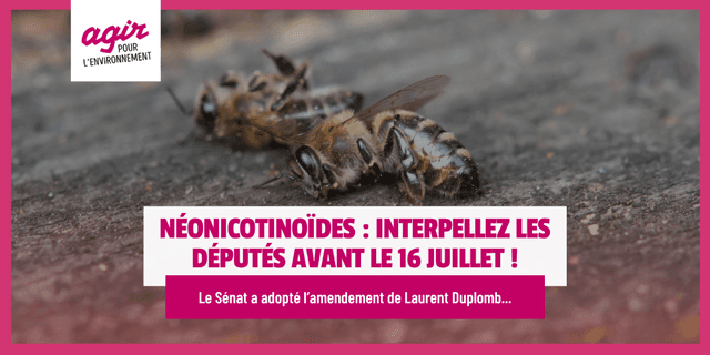 Néonicotinoïdes tueurs d'abeilles : interpellez les députés !