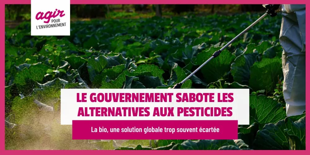 Le gouvernement sabote sciemment les alternatives aux pesticides